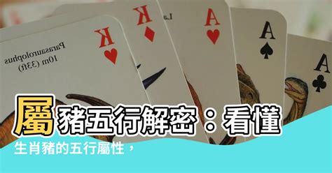 豬的生肖|【豬五行】屬豬五行解密：看懂生肖豬的五行屬性，助你趨吉避兇。